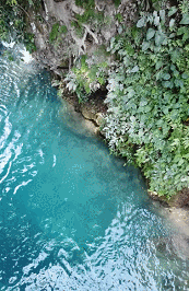 Name:  drone5.gif
Views: 7022
Size:  2.79 MB