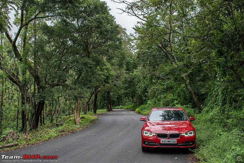The DSLR Thread-dsc_0342.jpg