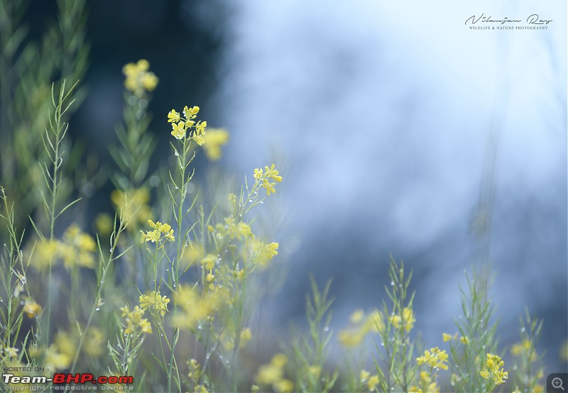 The 2022 Camera Trends Poll | Do you still use DSLRs the way you used to?-_dsc8807.jpg