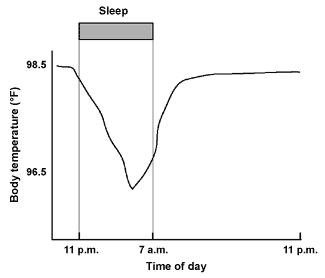 Name:  BodyTemp.0.gif
Views: 24
Size:  3.5 KB