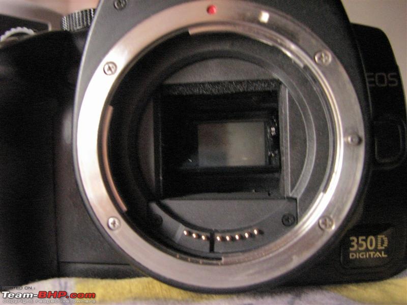 The Digital Camera Thread: Questions, discussions, etc.-mirror-unlocked-medium.jpg