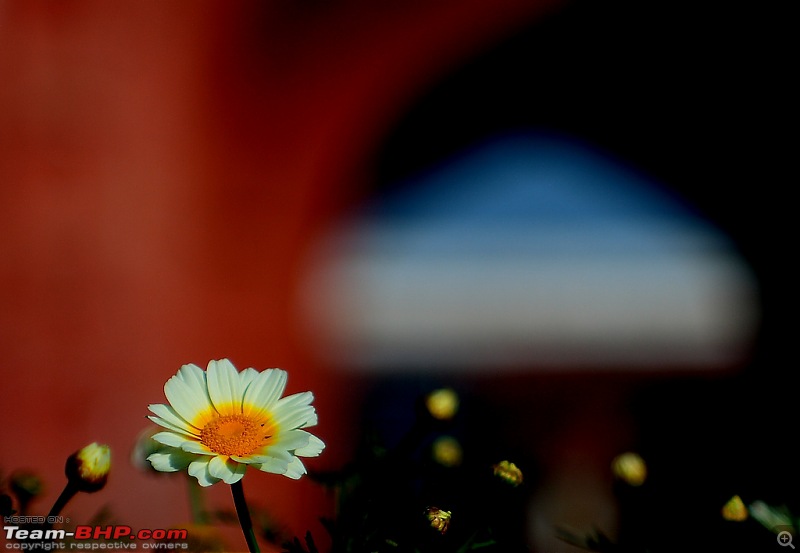 The DSLR Thread-4392025255_f81cbeb106_b.jpg