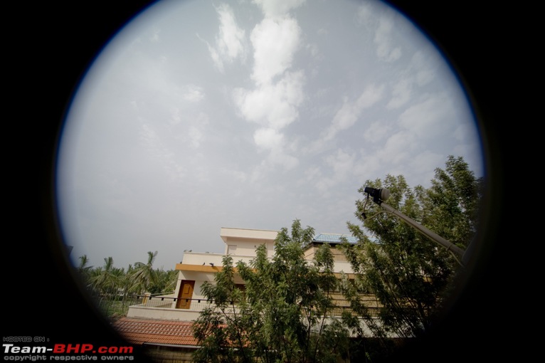 The DSLR Thread-08ed.jpg