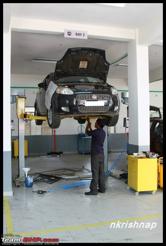 Vecto Motors, Bangalore, FIAT Exclusive Dealership-img_1252.jpg