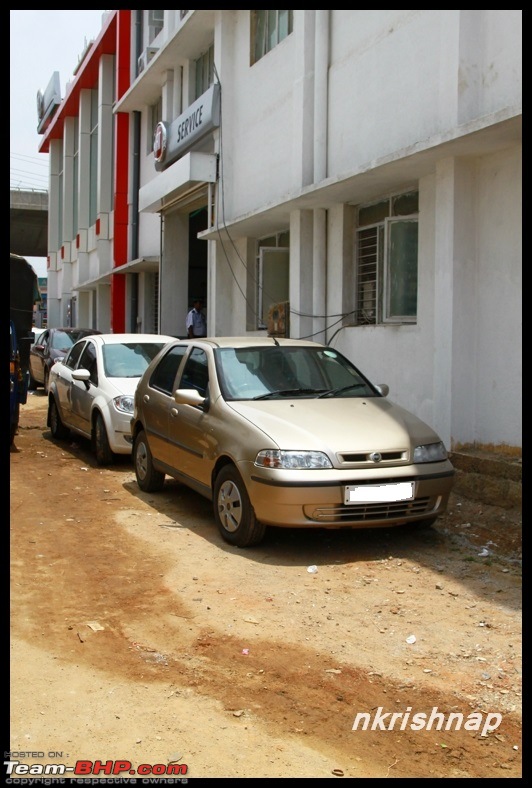 Vecto Motors, Bangalore, FIAT Exclusive Dealership-img_1265.jpg