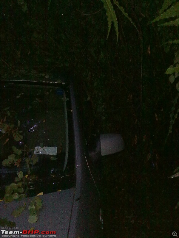 Mayday Mayday - Tree fell on my car!-image0298.jpg