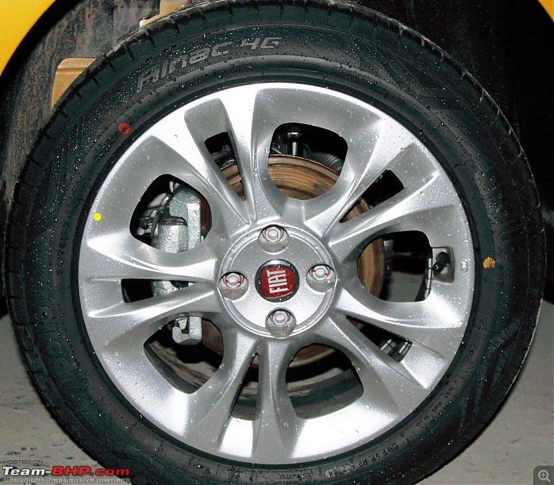 2014 Fiat Punto Evo : A Close Look-img_5599.jpg