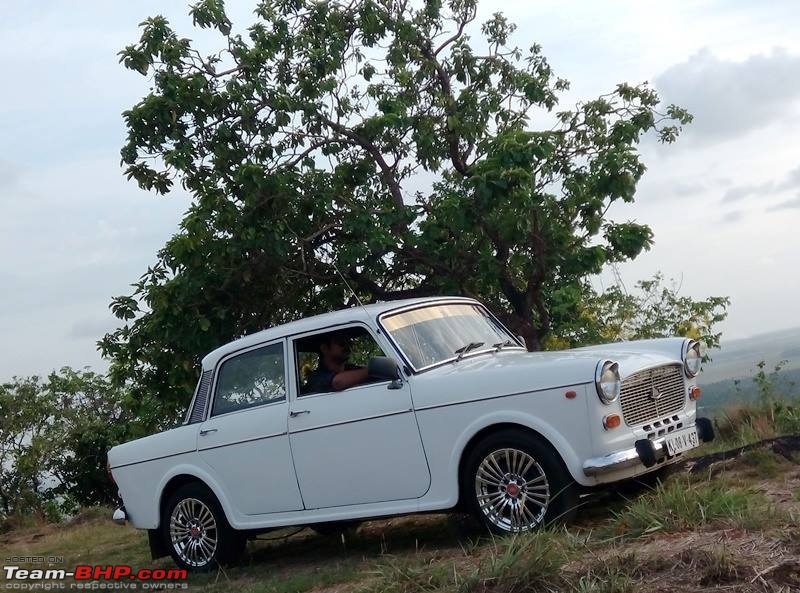 The lovely Premier Padmini S1 (Fiat 1100-D)-pp-02.jpg