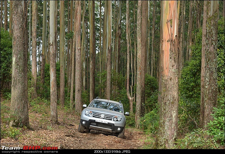 Pre-worshipped car of the week : Used Renault Duster-2.jpg