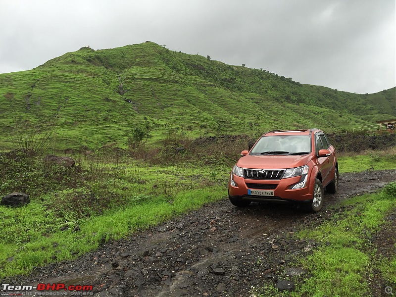 Indian cars with unusual colours from the factory-orange-xuv500.jpg