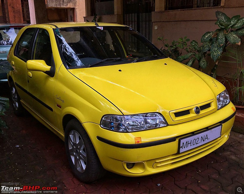 Indian cars with unusual colours from the factory-palio-s10.jpg