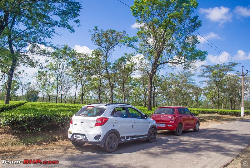 15 years of the Maruti-Suzuki Swift-25_gorubathan_oct_2020.jpg