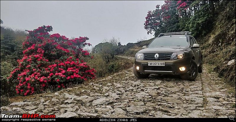 Renault Duster goes out of production in India-opening-rhod.jpg