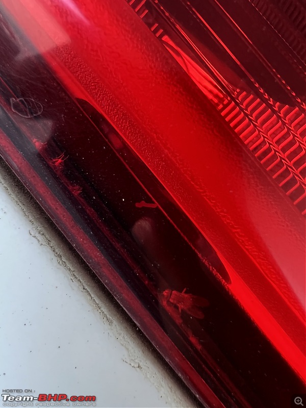 BMW X1 Quality Problems | Bugs trapped inside LED tail-lamps-8ae72c5cc3a04a299e35782fd7951149.jpeg