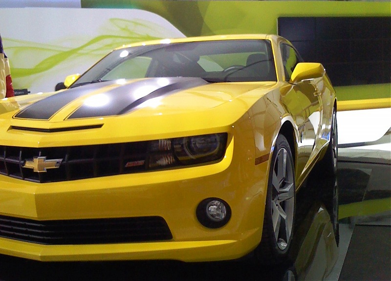 AUTO EXPO 2010 - Live Feed & Pics-img_0273.jpg