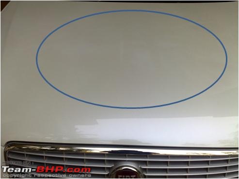 Fiat Linea - "Did You Know?" Series-line-paint-defec.jpg
