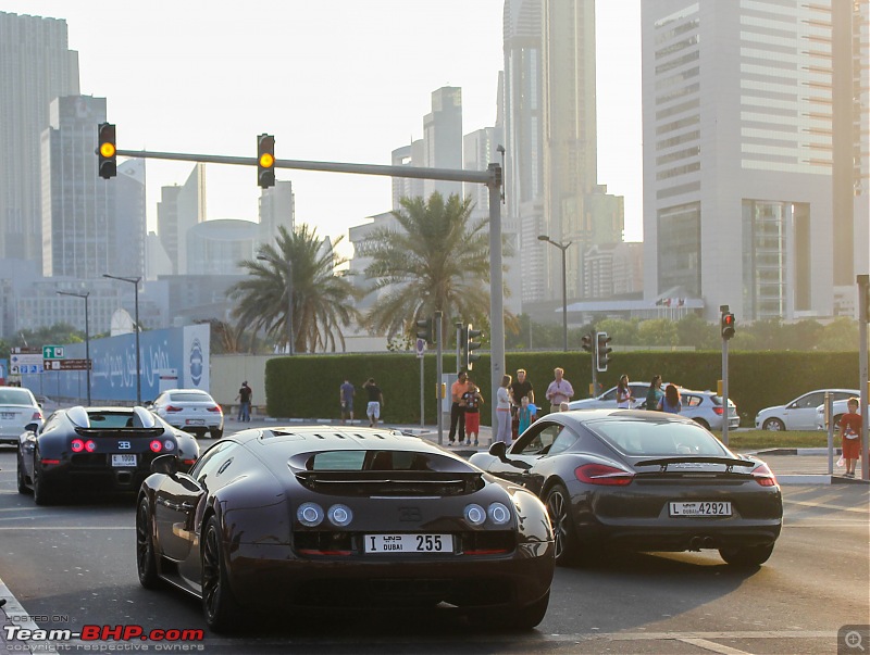 The Dubai Motor Show 2013-img_3420.jpg