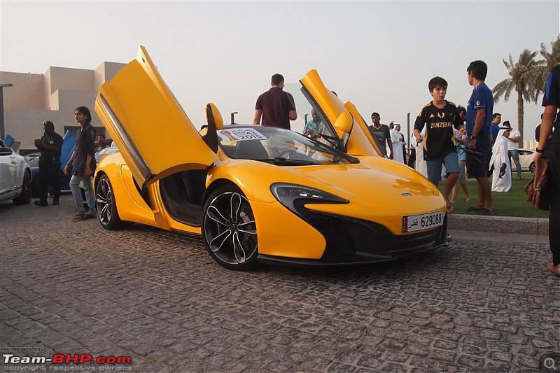 Exotics in Qatar-p5167412-medium.jpg