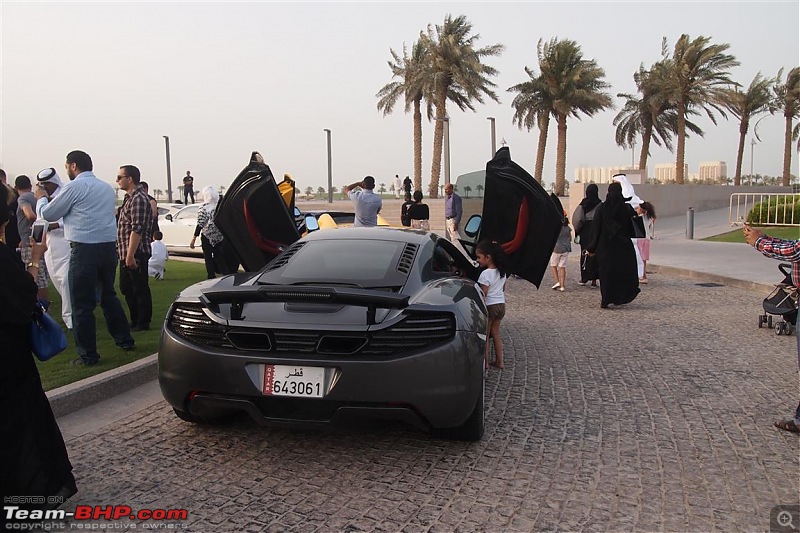 Exotics in Qatar-p5167425-medium.jpg