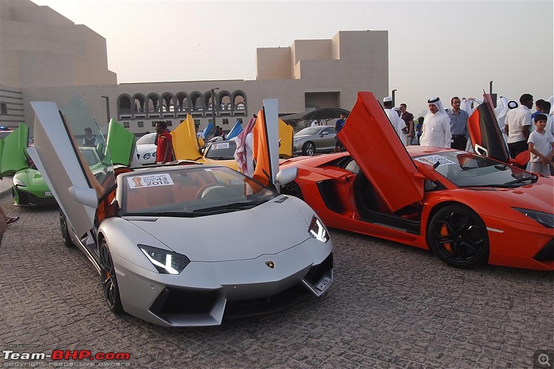 Exotics in Qatar-p5167427-medium.jpg