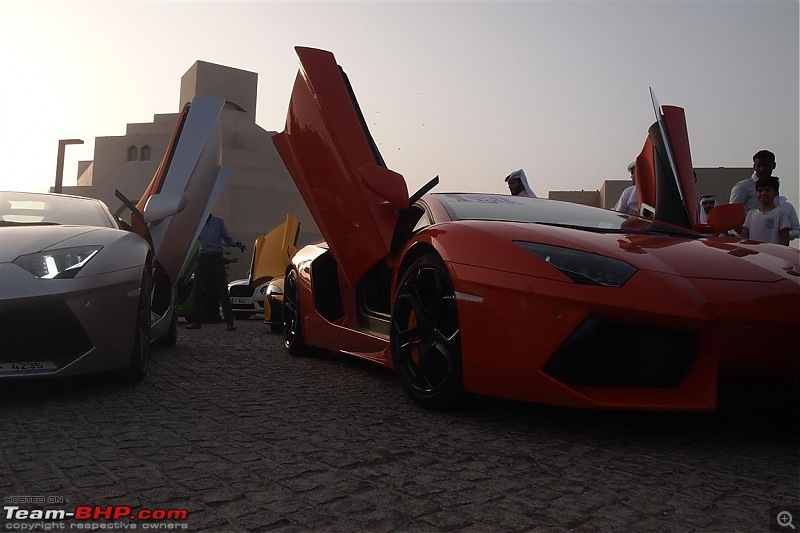 Exotics in Qatar-p5167429-medium.jpg