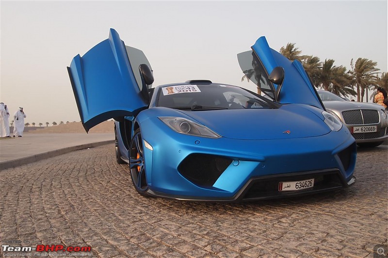 Exotics in Qatar-p5167437-medium.jpg