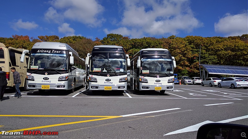 The Automotive Scene in Korea-kia-buses.jpg