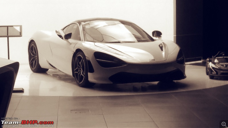 Exotics in Qatar-720s2.jpg