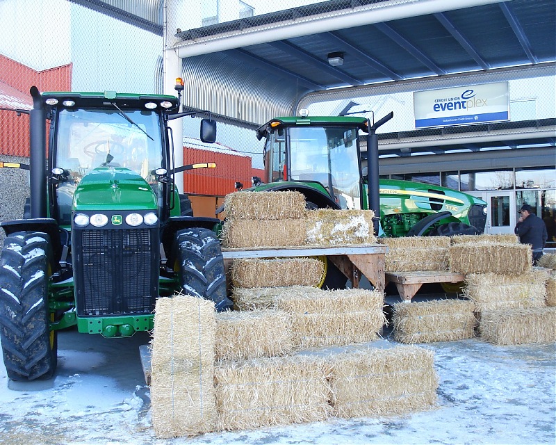 Canadian Agribition show - Regina, SK-dsc05737.jpg