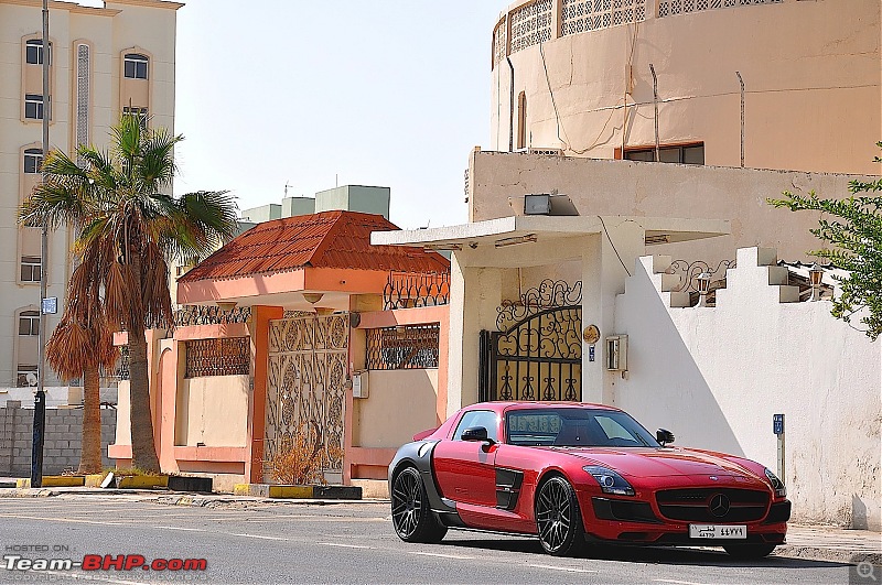 Exotics in Qatar-dsc_0661.jpg