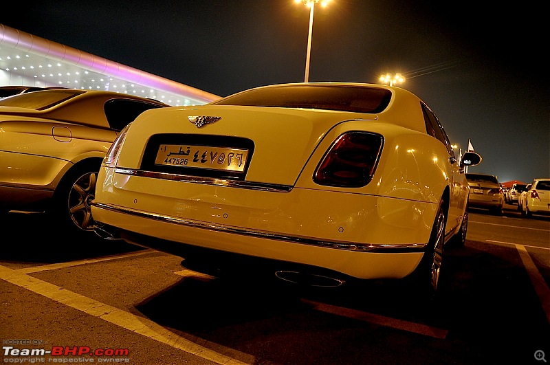 Exotics in Qatar-dsc_1138.jpg