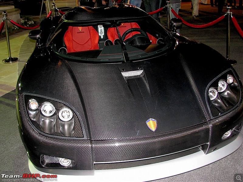 Exotics in Qatar-img_3578.jpg