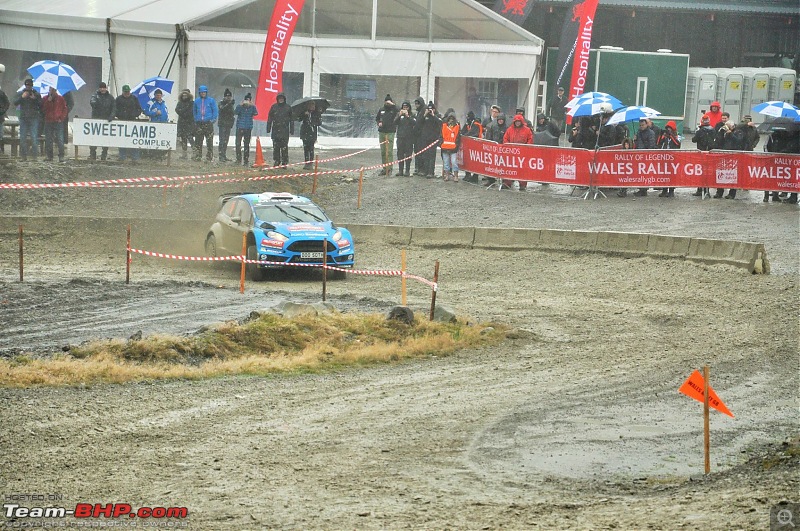 WRC Wales Rally GB, 2016-26.jpg