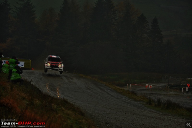 WRC Wales Rally GB, 2016-50.jpg