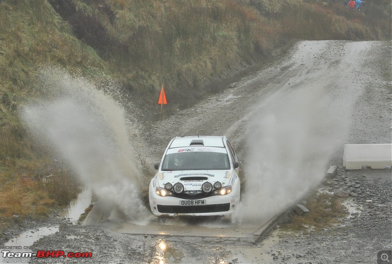 WRC Wales Rally GB, 2016-dsc_0369-2.jpg