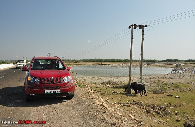 The "Duma" comes home - Our Tuscan Red Mahindra XUV 5OO W8 - EDIT - 10 years and  1.12 Lakh kms-dsc_0971.jpg