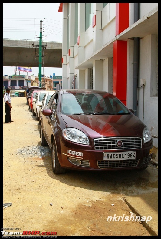 Petrol Hatch to Diesel Sedan - Fiat Linea - Now Wolfed-img_1264.jpg