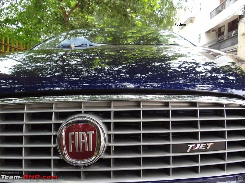 Tizze Lands Home: The Fiat Linea T-Jet 2013 EDIT: Sold!-picture29.jpg