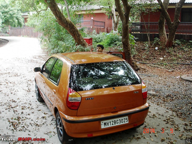 Cosmetic makeover of an ol' Fiat Palio 1.6 GTX. EDIT: Now @ 128K kms and 11 years-dsc06091.jpg