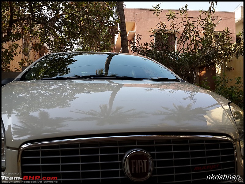 Petrol Hatch to Diesel Sedan - Fiat Linea - Now Wolfed-finish-2.jpg