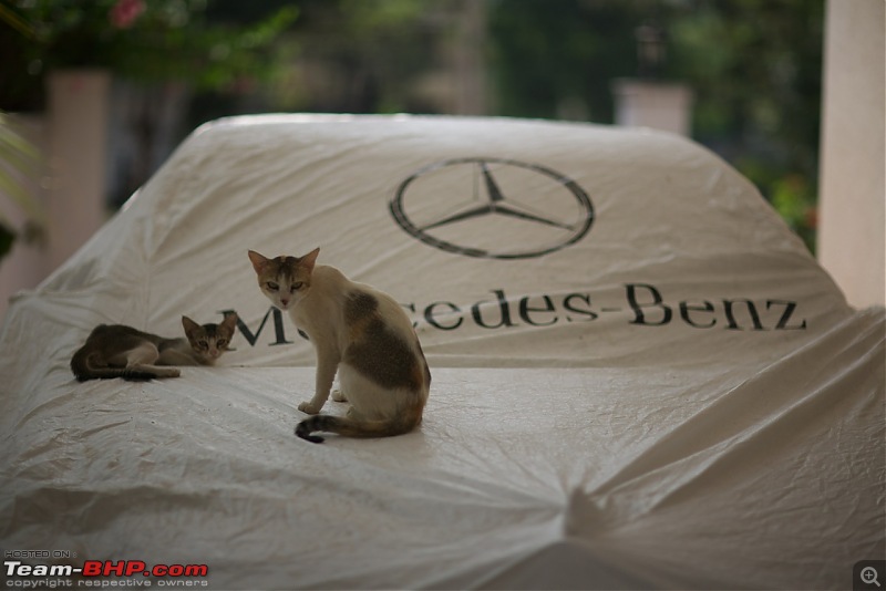 Oh Lord, won't you buy me a Mercedes Benz - W221 S350 initial ownership review-catonhood.jpeg