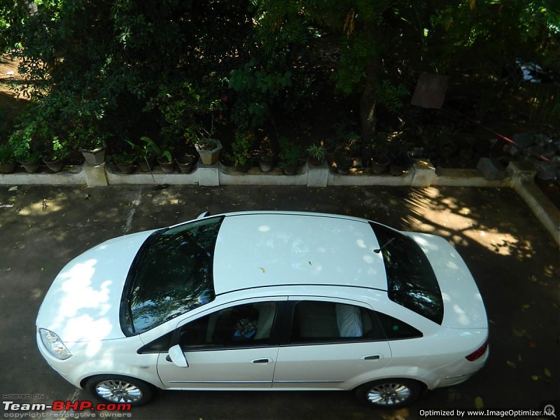 Unexpected love affair with an Italian beauty, Fiat Linea MJD. EDIT: Sold-ot12optimized.jpg