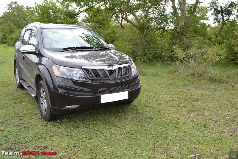 My Opulent Purple Mahindra XUV500 W8 AWD - From mighty muscular Scorpio to Cheetah. EDIT: Now sold-mg_dsc_0271.jpg