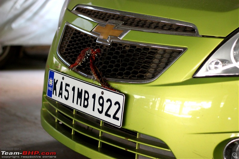 The Green Bolt - Chevrolet Beat LT Petrol (2011) - Long Term Ownership Report-img_9349.jpg