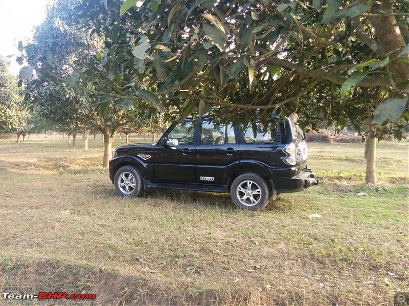 Sheel's Mahindra Scorpio S10 4WD. 1,10,000 kms completed.-1505429_10152592839412596_3793773431203580761_n.jpg