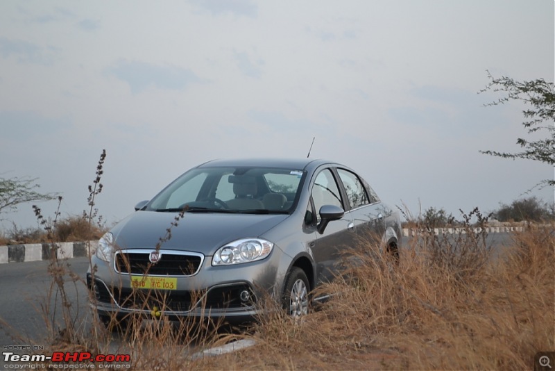My 2014 Grey Fiat Linea 1.3L MJD-view-grass.jpg