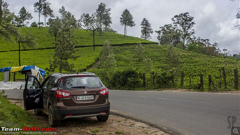 My Brown Little Hippo: Maruti S-Cross DDiS 200 Alpha-4.jpg