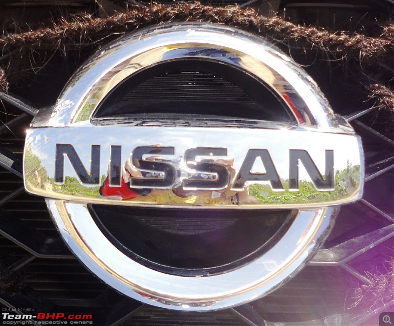 My Nissan Terrano 85 PS-logo.jpg