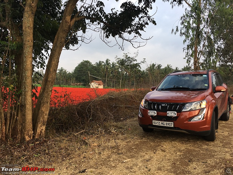 Ownership tales of Orange Cheetah, my 2015 Mahindra XUV5OO W10 FWD. EDIT: Sold after 150,000 km-myxuvflowers.jpg