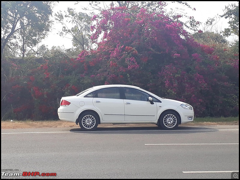 Unexpected love affair with an Italian beauty, Fiat Linea MJD. EDIT: Sold-optimized20170128_153101.jpg